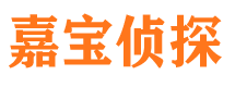 范县调查事务所